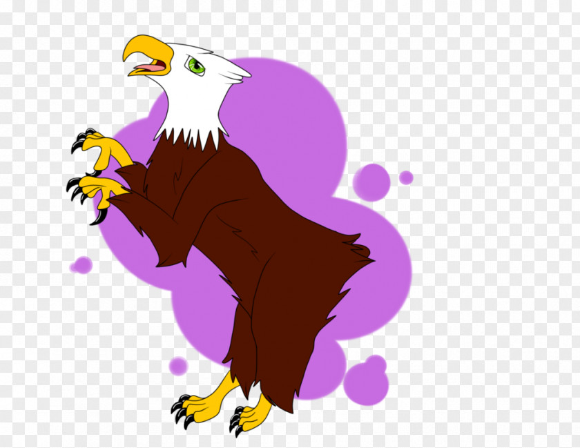 Eagle Bald Beak Clip Art PNG