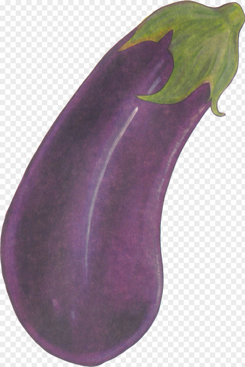 Eggplant Purple Health Love PNG