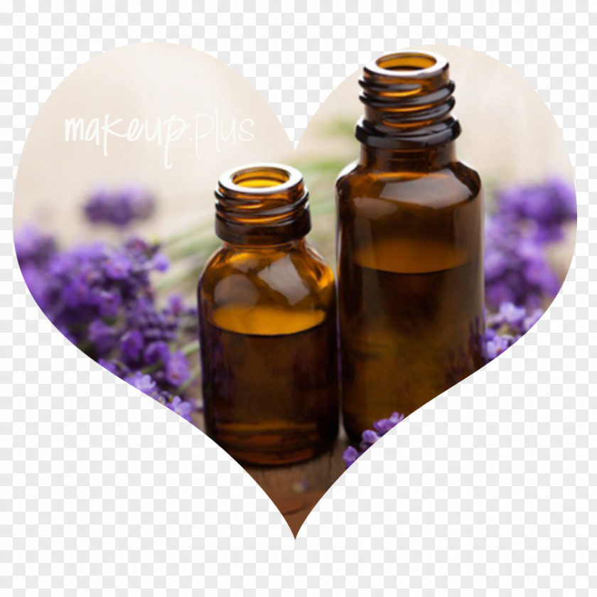 Essential Oil Lavender Carrier Aroma Compound PNG