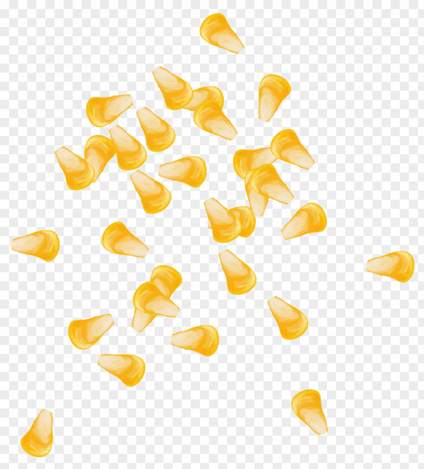 Vector Corn Kernels Maize Euclidean Computer File PNG