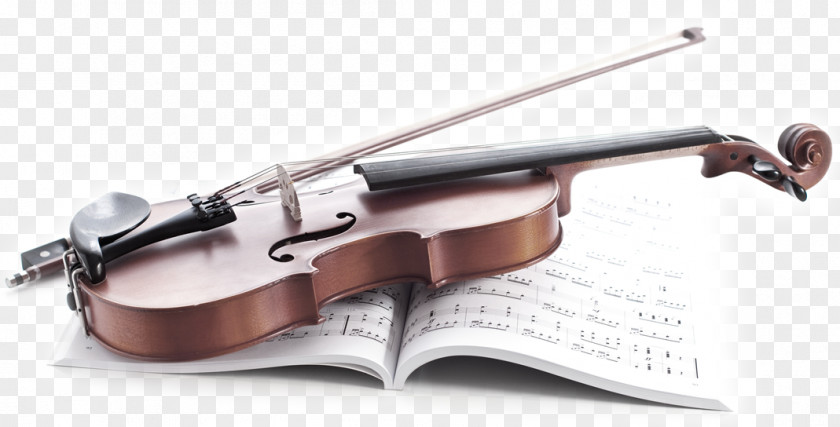 Violin Musical Instruments Music School Lesson PNG school lesson, violin clipart PNG