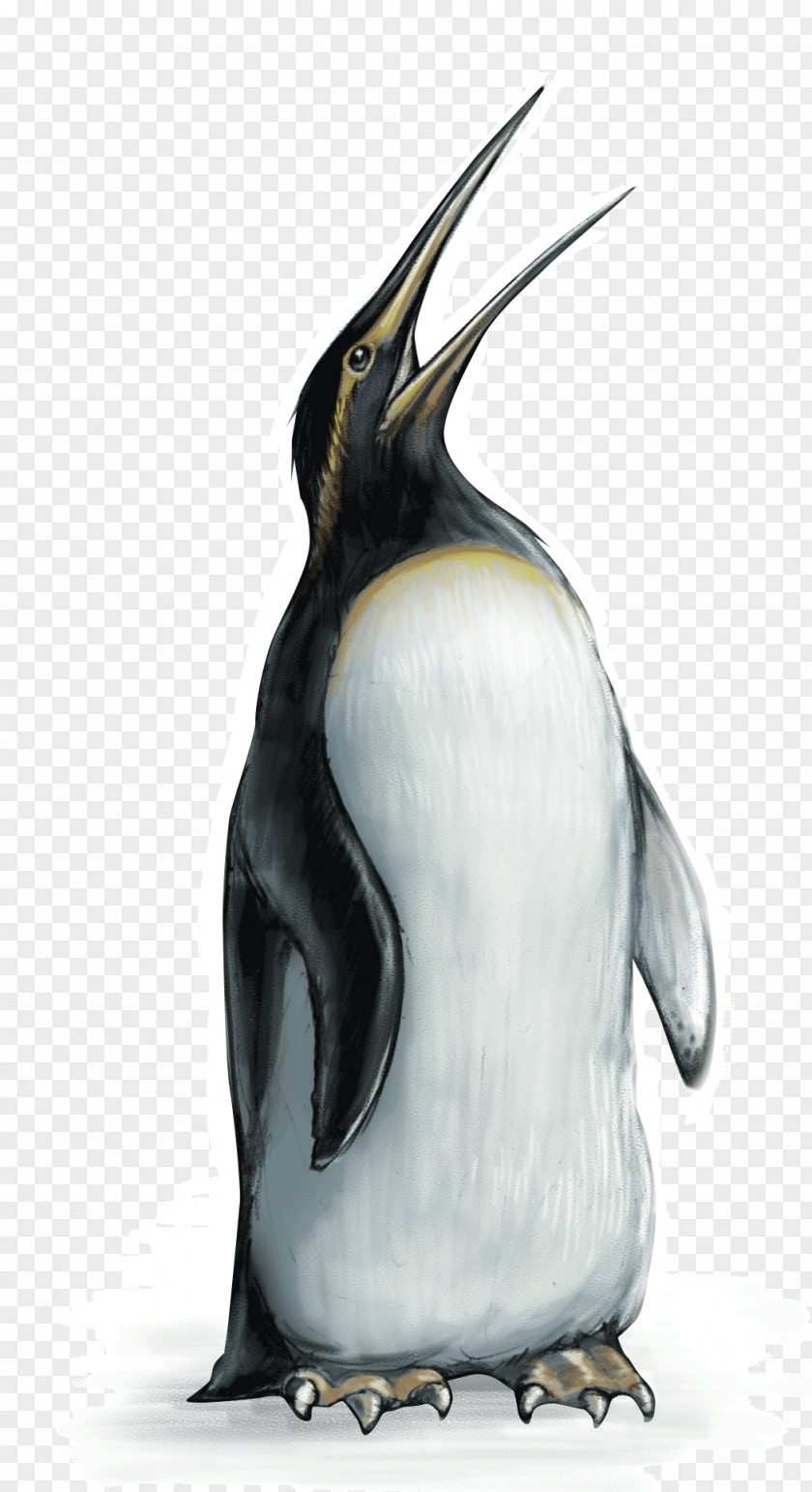 Bird King Penguin Dinosaur Moa Haast's Eagle PNG