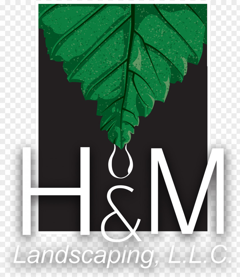 Design H&M Landscaping Art PNG