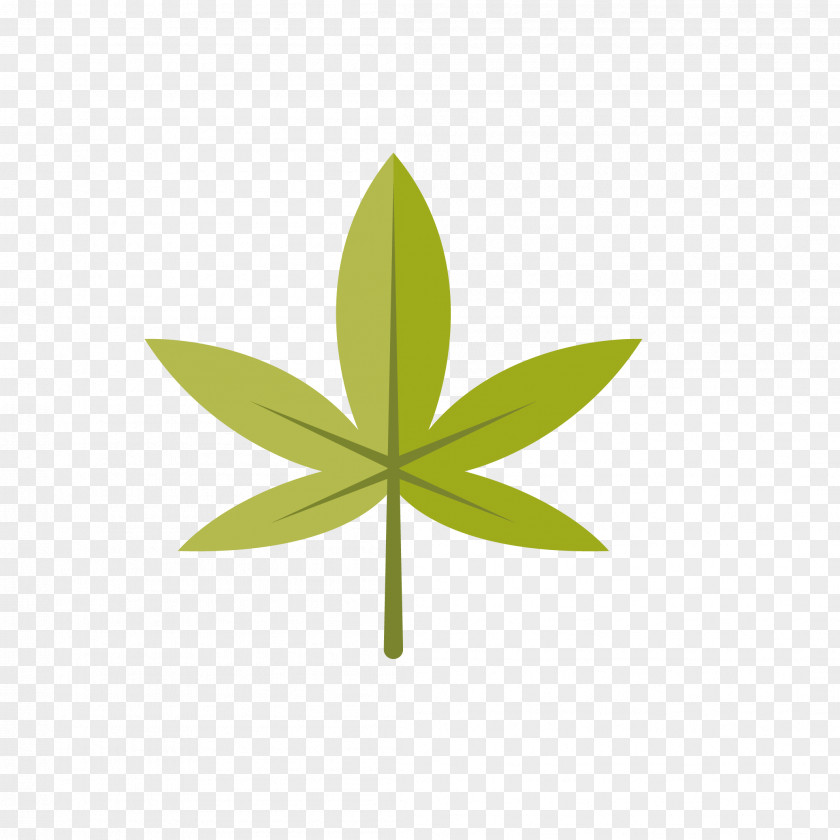 Green Five-star Leaves Leaf Text Illustration PNG