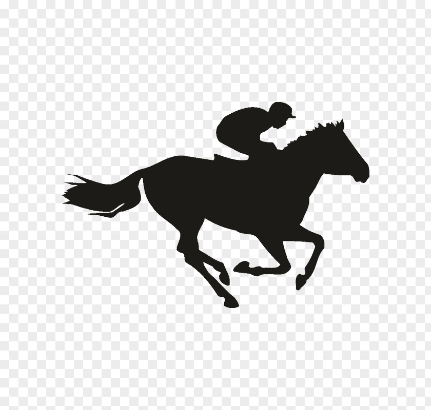 Horse Racing Equestrian The Kentucky Derby PNG