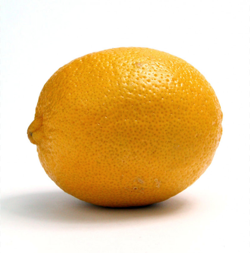 Lemon Go Suck A The EQ Edge: Emotional Intelligence And Your Success Force Of Will PNG