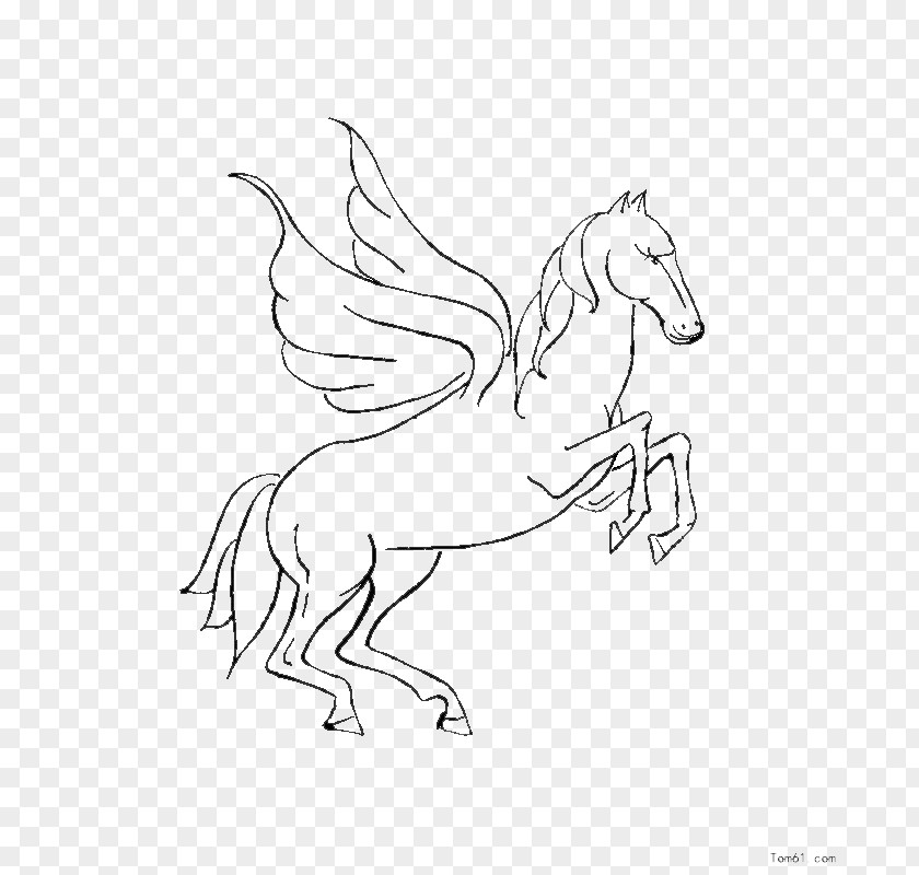 Pegasus Horse Child PNG