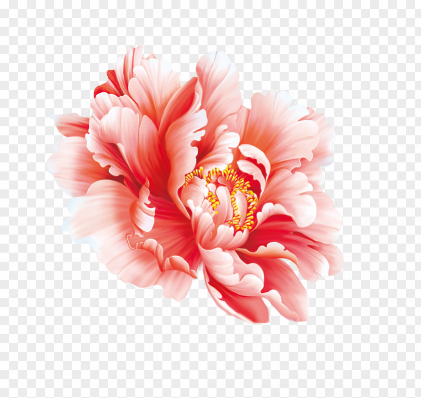 Peony Floral Design Flower Painting In Watercolor Chinese PNG