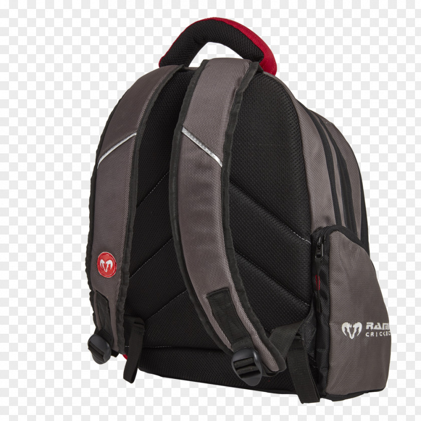 Playing Cricket Backpack Laptop Everki Titan Bag MacBook Pro 15.4 Inch PNG