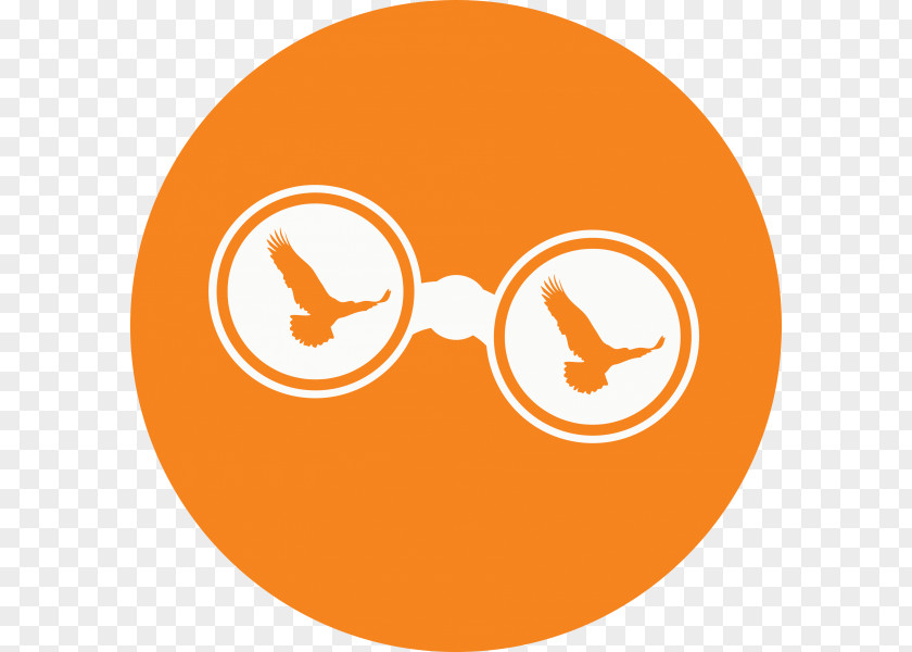 Bird Watcher Logo Business (주)대경산전 Design Studio PNG