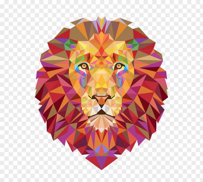 Color Lions Lion T-shirt Tiger Illustration PNG