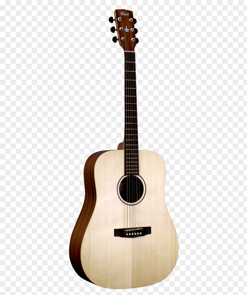 Guitar Tanglewood Guitars Acoustic Musical Instruments Classical PNG