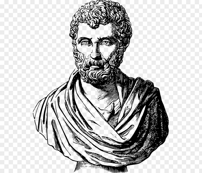 Historian Herodotus Histories History PNG