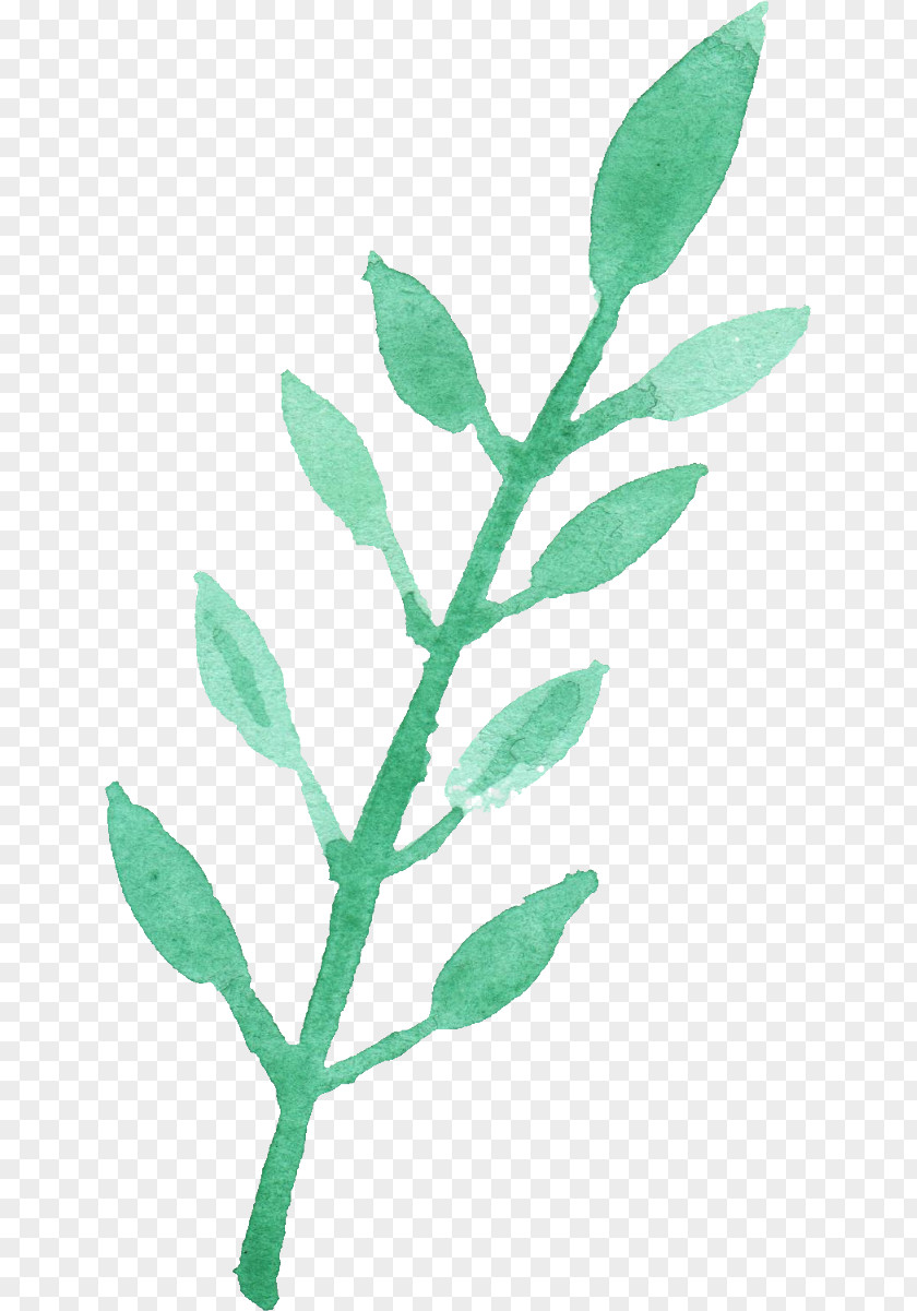 Leaf Watercolor Painting Clip Art PNG