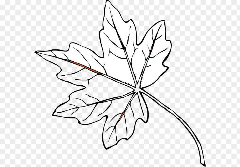 Maple Leaf Canada White Yellow Autumn Color Clip Art PNG