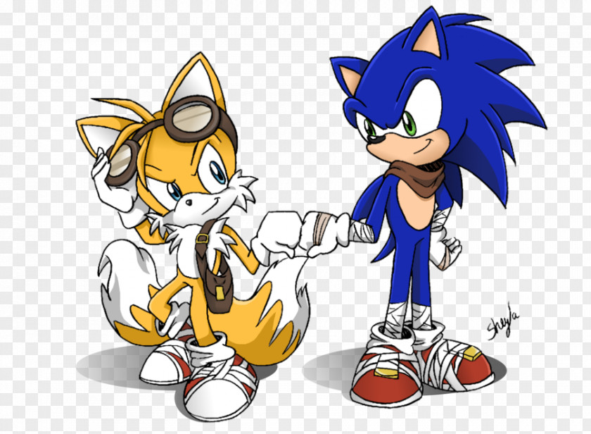 Painted Cat Sonic Chaos Tails The Hedgehog 2 Ariciul PNG