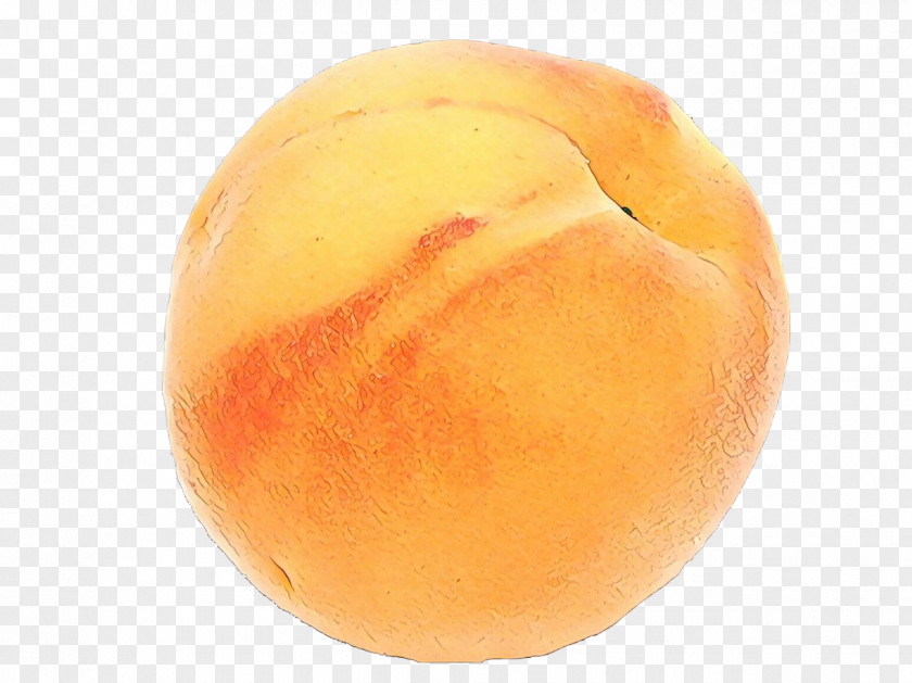 Plant Apricot Fruit Cartoon PNG