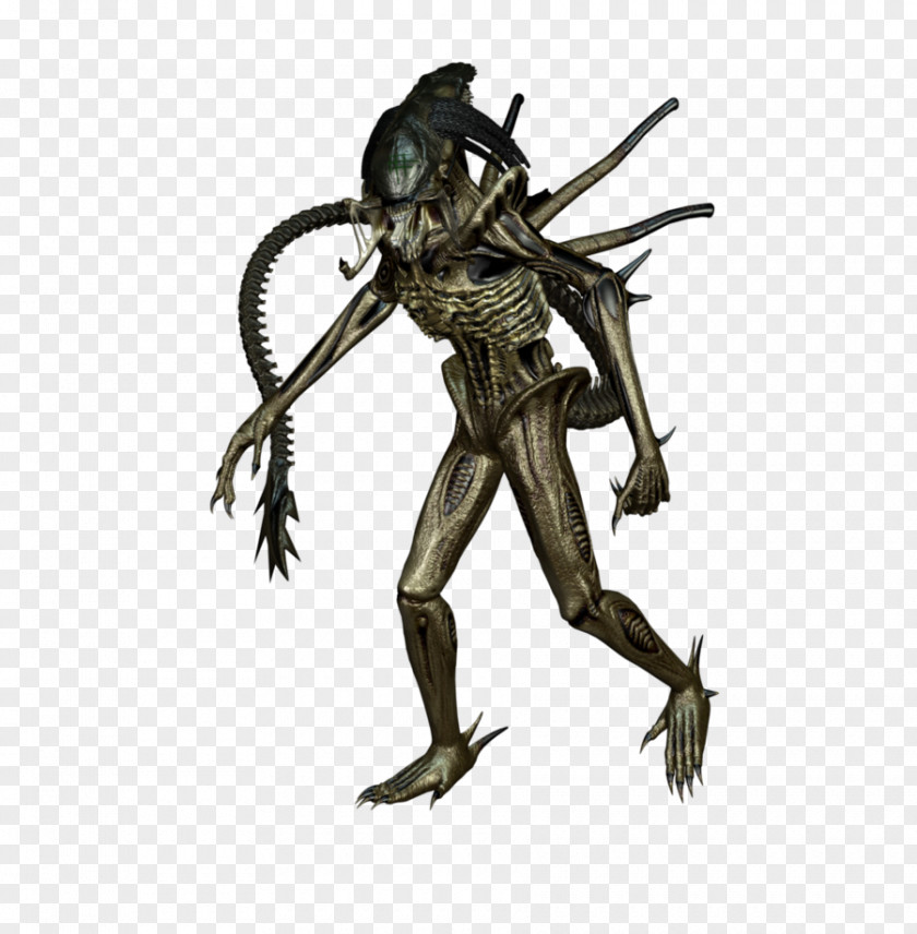 Reddit Alien Predalien Predator Wikia PNG