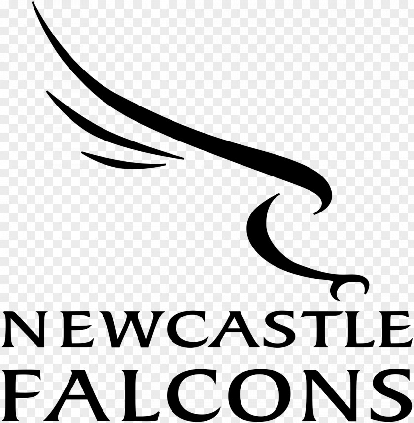 2012 Atlanta Falcons Season Newcastle Kingston Park English Premiership Worcester Warriors Anglo Welsh Cup PNG