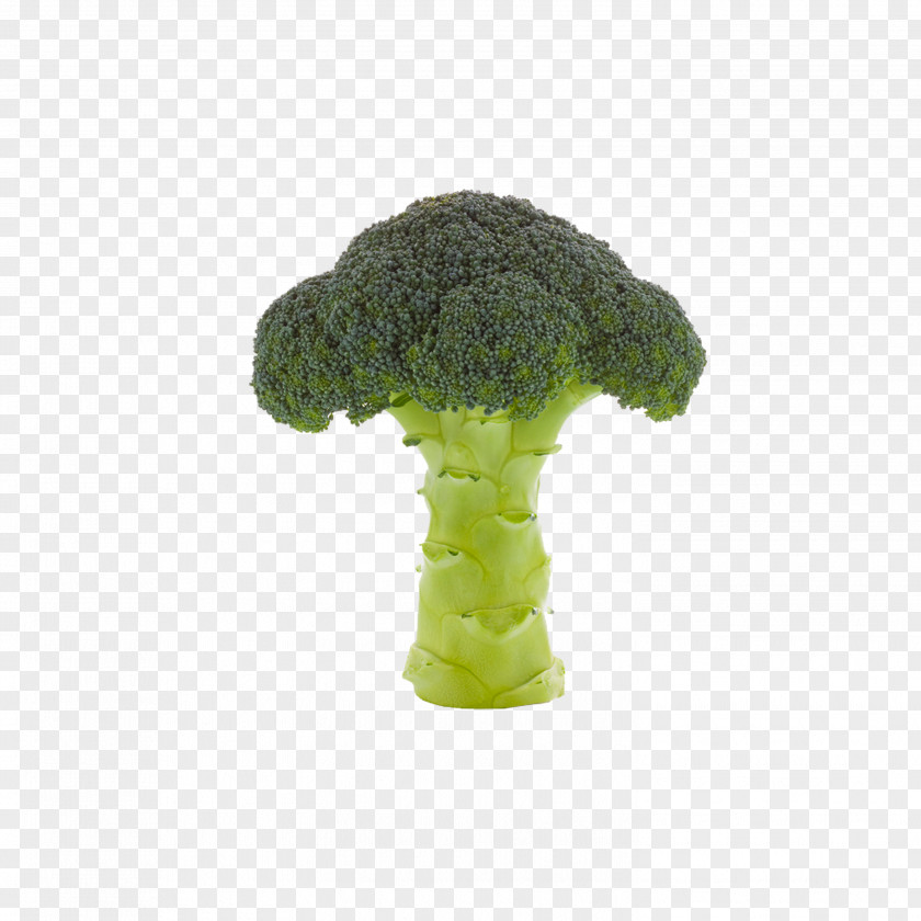 Broccoli Vegetable Cauliflower PNG