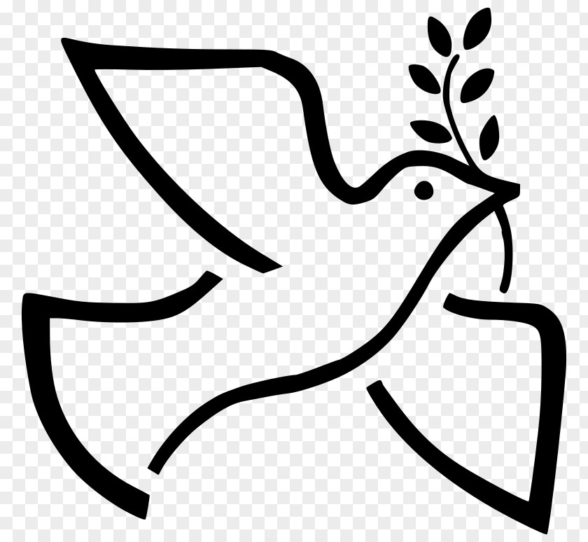 DOVE Peace Symbols Doves As Olive Branch Clip Art PNG