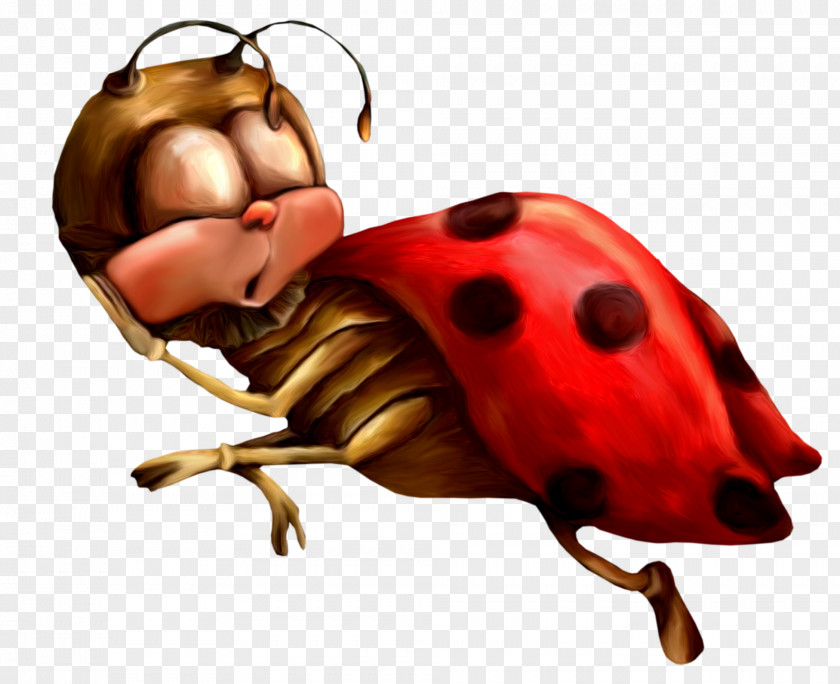Small Ladybug English Ladybird PNG