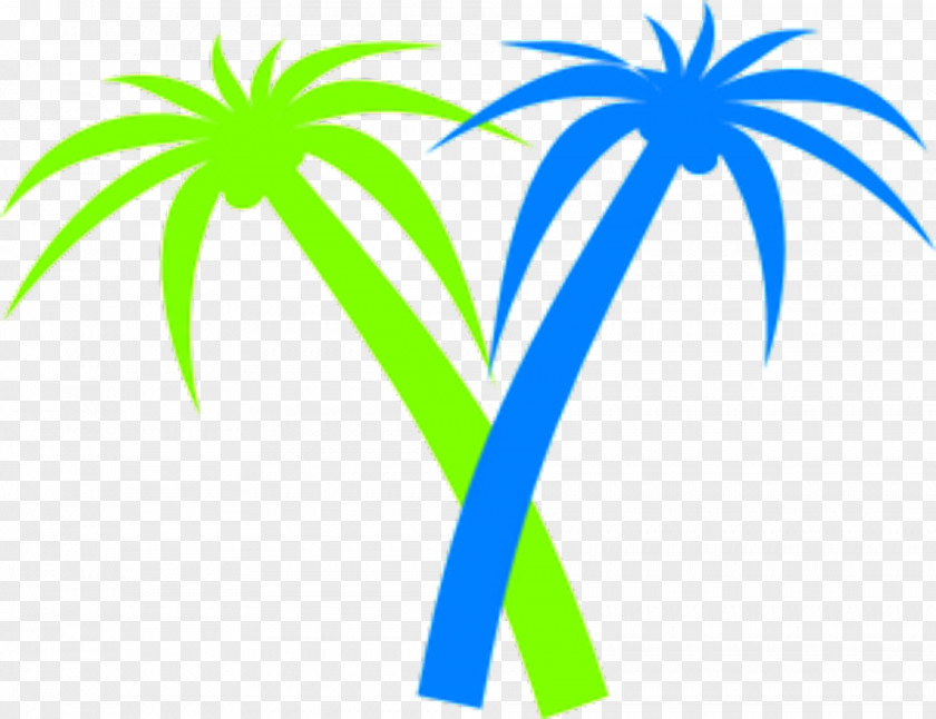 Tree Arecaceae Clip Art PNG