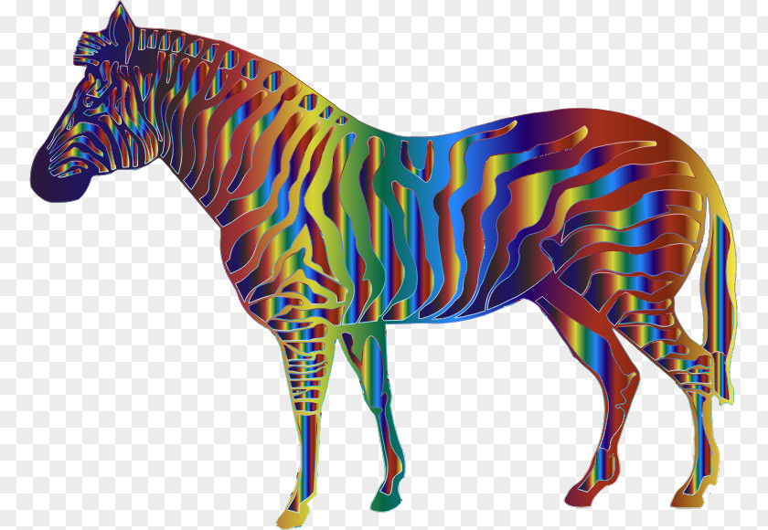 Zebra Mane Quagga PNG