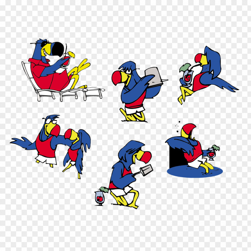 Cartoon Parrot Illustration Design Image Clip Art PNG