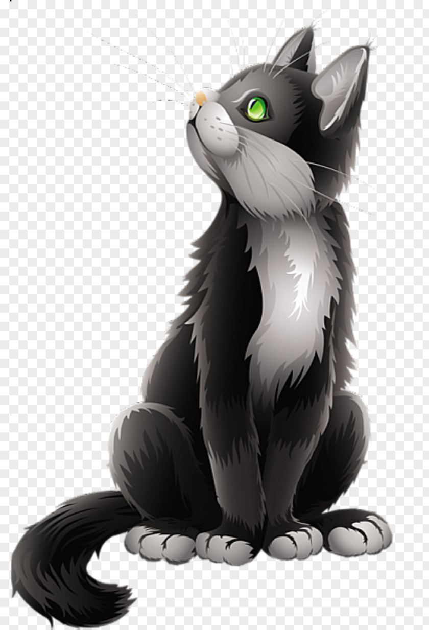 Cat Kitten Drawing Clip Art PNG