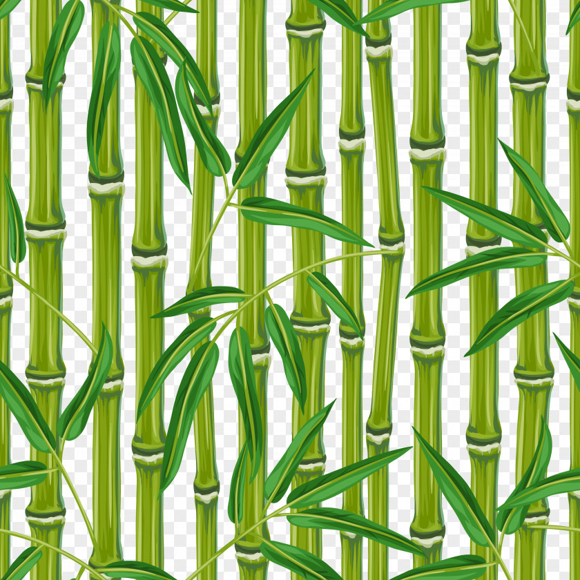 Vector Free Bamboo Download Bamboe PNG