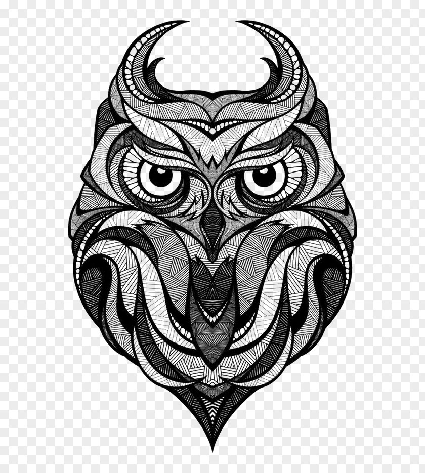 Black Owl PNG