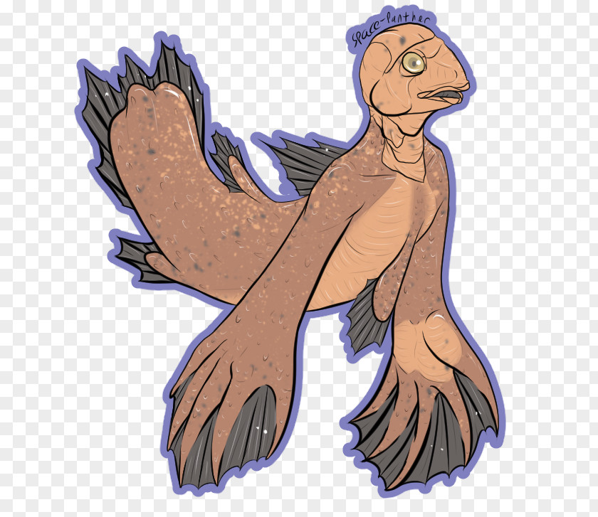 Homo Sapiens Thumb Beak Clip Art PNG