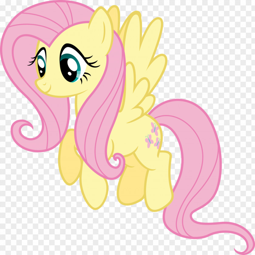 Little Pony Fluttershy Rainbow Dash Pinkie Pie Rarity Twilight Sparkle PNG