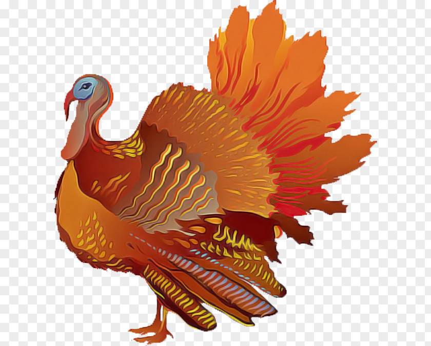 Thanksgiving Wild Turkey PNG