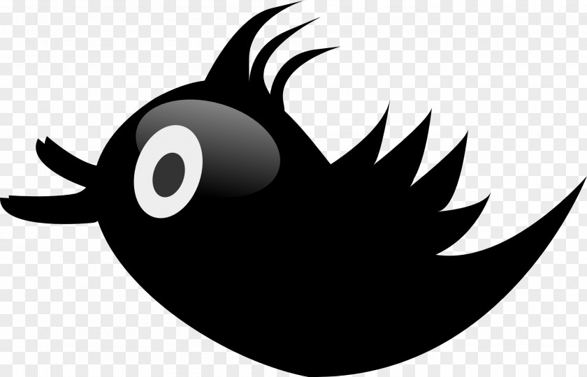 Bird Clip Art PNG