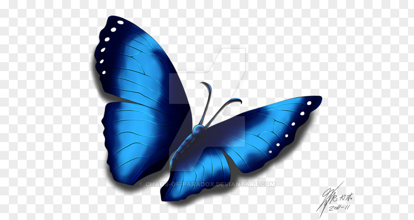 Butterfly Effect Cobalt Blue Moth PNG