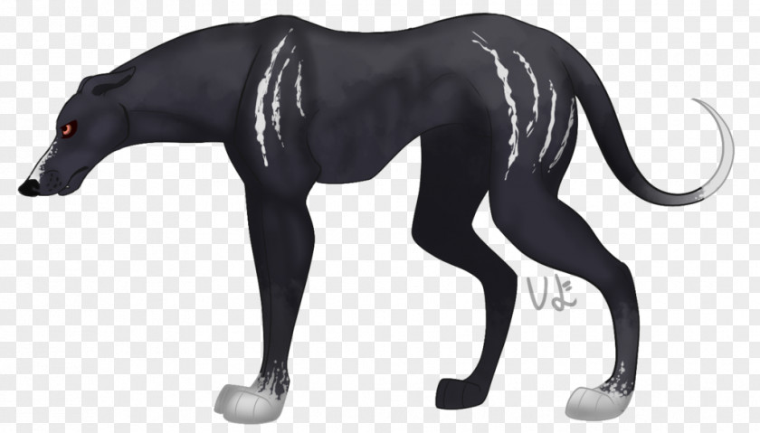 Cat Canidae Dog Neck PNG