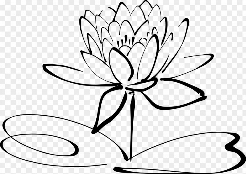 Flower Drawing Line Art Black And White Clip PNG