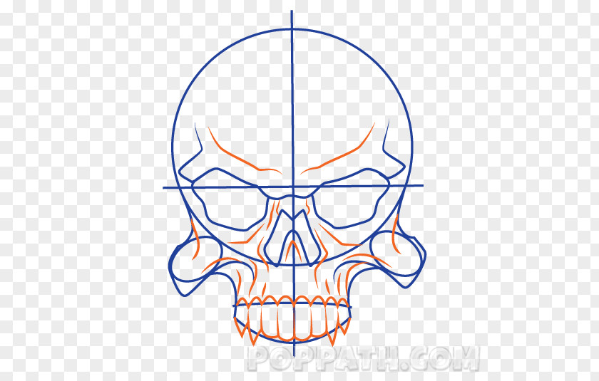 Line Art Point Jaw Clip PNG