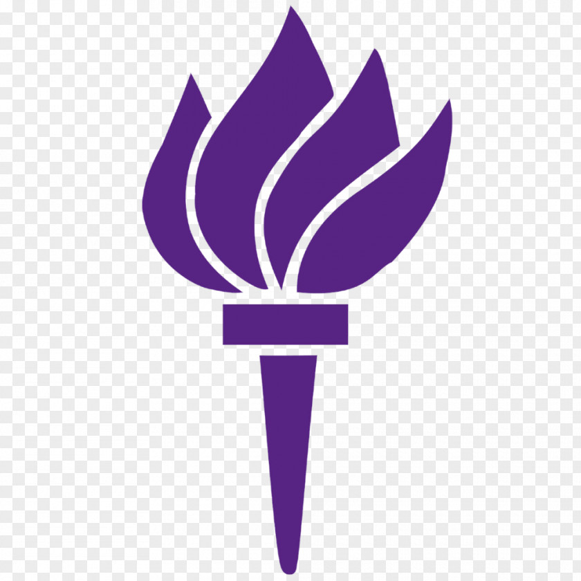Torch Clipart Tisch School Of The Arts Institute Fine Arts, New York University Logo PNG
