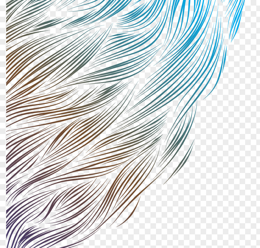 Vector Colored Hair Download PNG