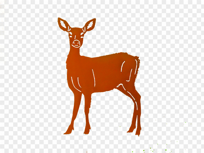 Deer White-tailed Elk Reindeer Antelope PNG