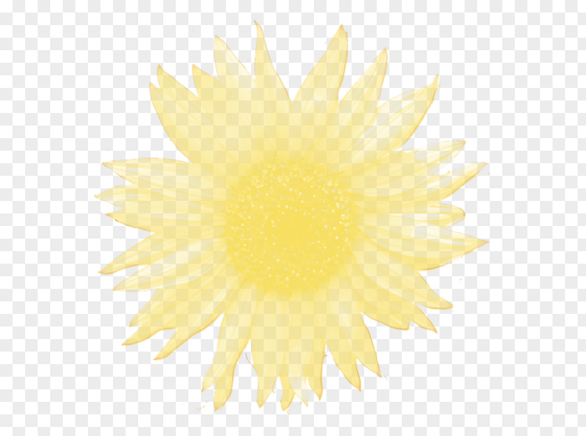 Desktop Wallpaper Yellow Chrysanthemum Dahlia Sunflower PNG