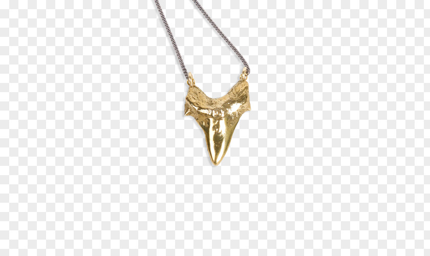 Necklace Shark Tooth Charms & Pendants Jewellery PNG