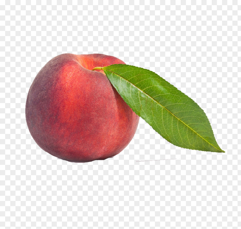 Peach Auglis Apple Food PNG