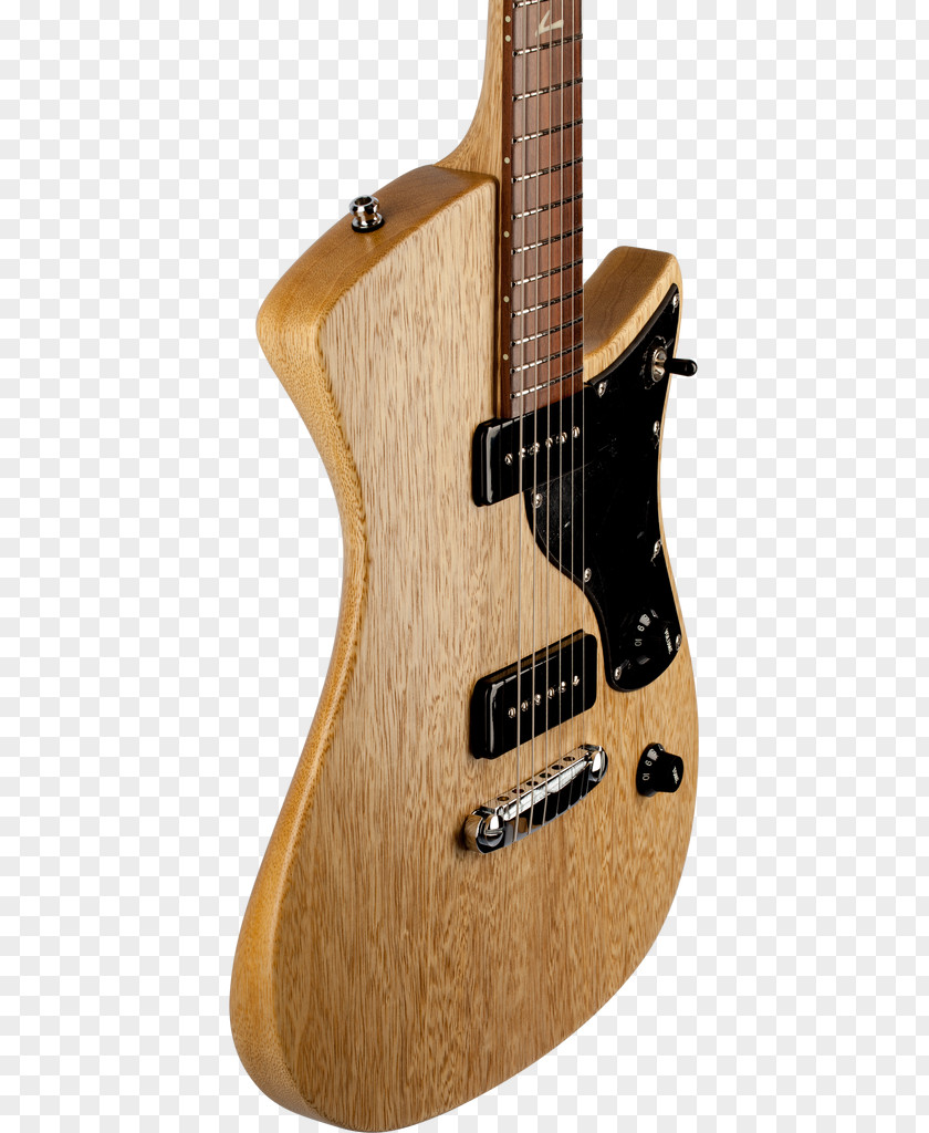Body Build Electric Guitar Bass Acoustic Musical Instruments PNG