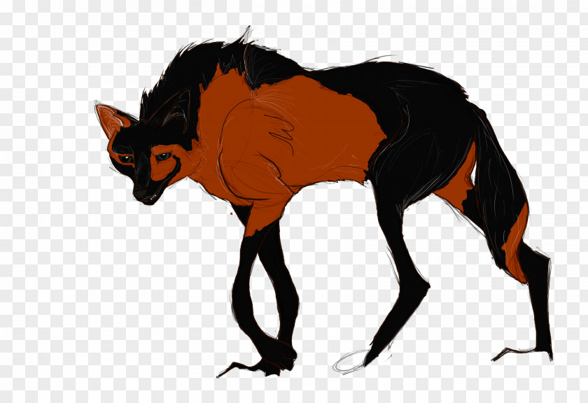 Cat Horse Canidae Maned Wolf Dog PNG