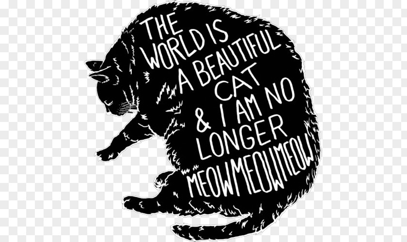 Cat Whiskers The World Is A Beautiful Place & I Am No Longer Afraid To Die Meow T-shirt PNG