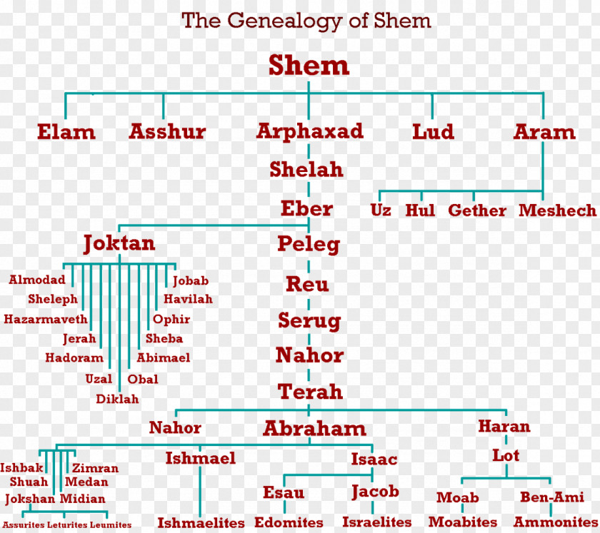 Family Tree Of Abraham Abraham's Genealogy Lineage PNG
